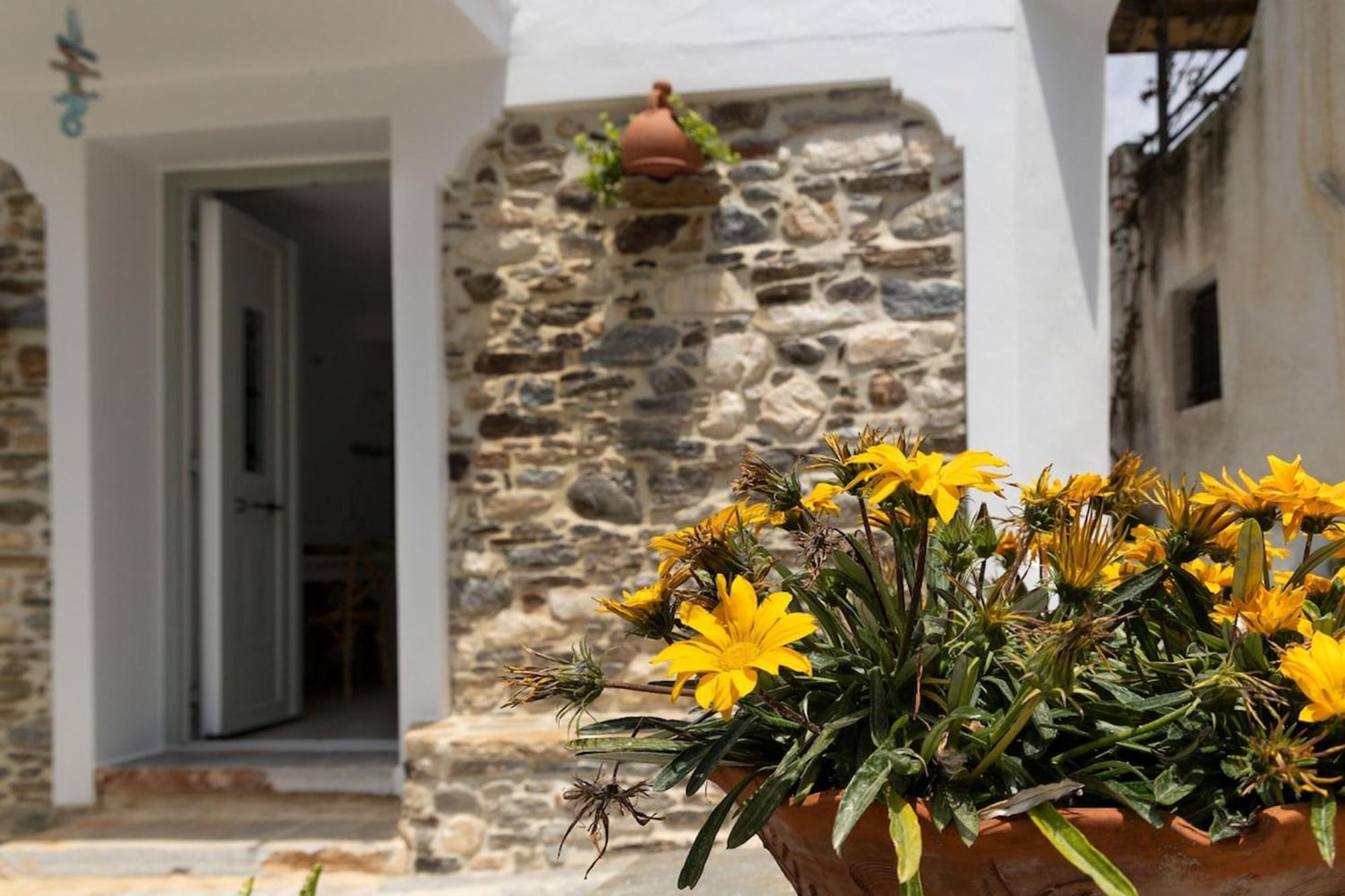 My Grandma'S Home Naxos Dhamarionas 外观 照片