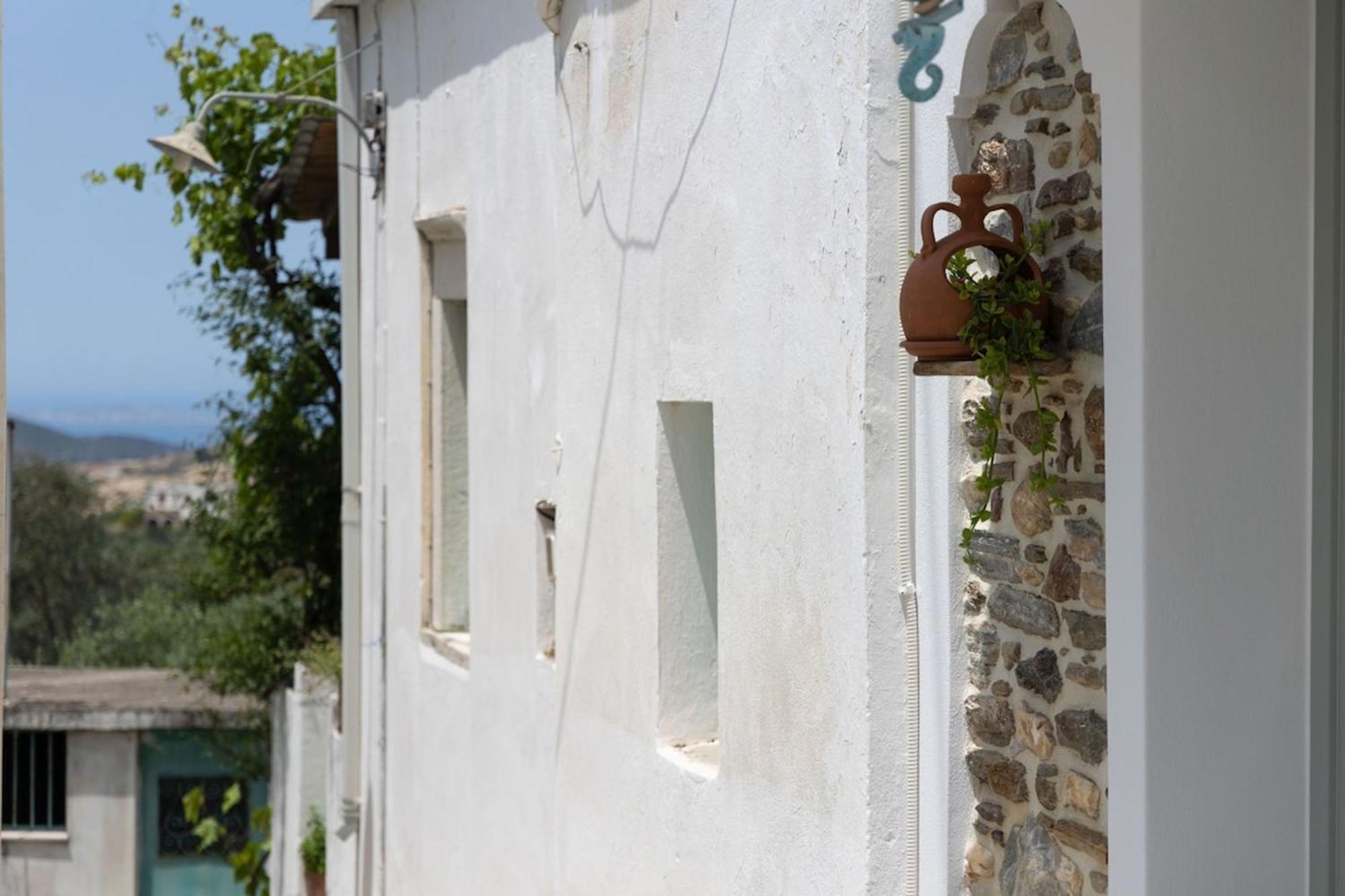 My Grandma'S Home Naxos Dhamarionas 外观 照片